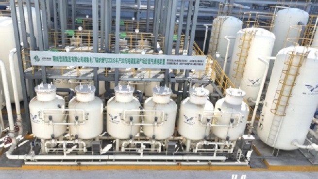 ��������̼�͵���β����ɡ�������������̼�ͿƼ�(����)���޹�˾���³�����һϯ̸